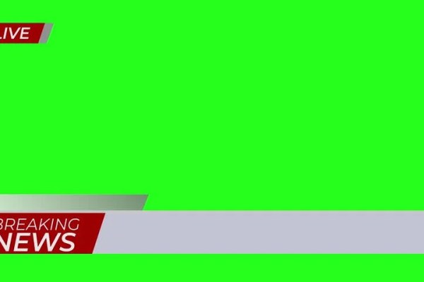 Shutterstock Video
