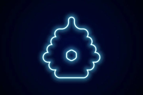 Shutterstock Video