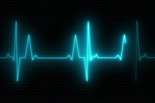 Shutterstock Video