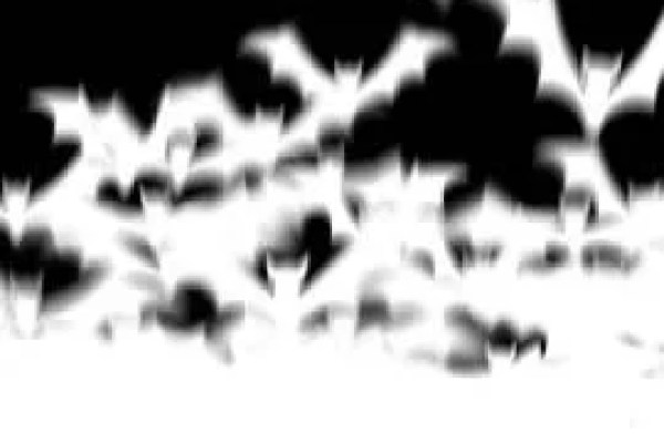 Shutterstock Video