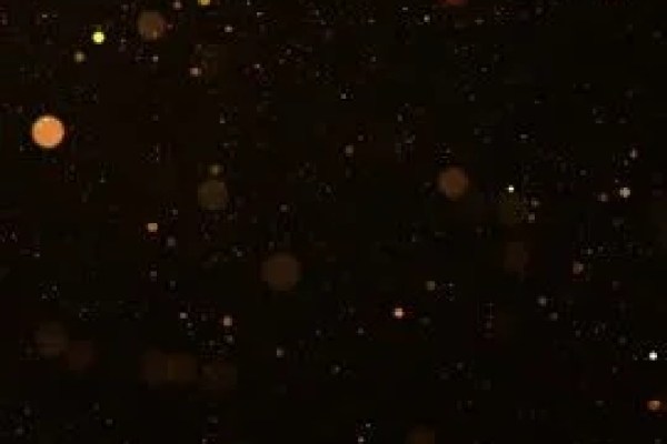 Shutterstock Video