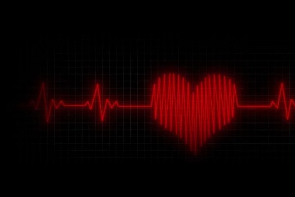 Shutterstock Video
