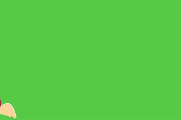 Shutterstock Video