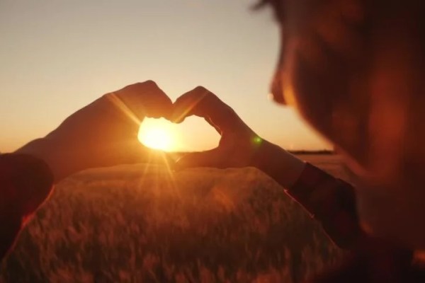 Shutterstock Video