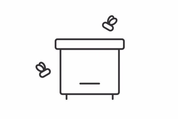 Shutterstock Video