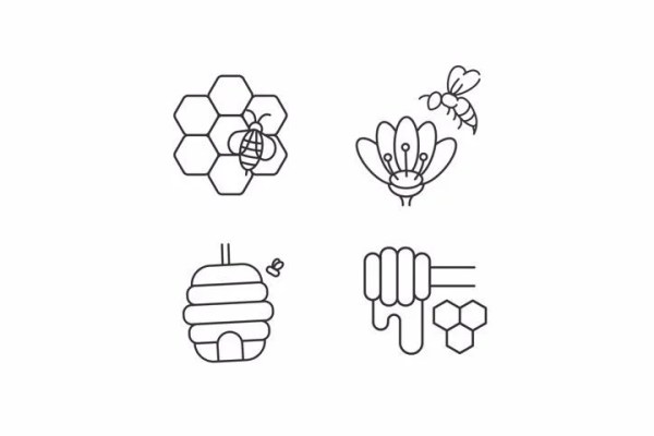 Shutterstock Video