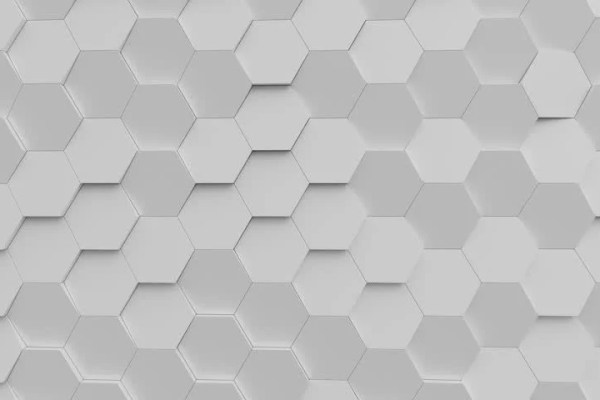 Shutterstock Video