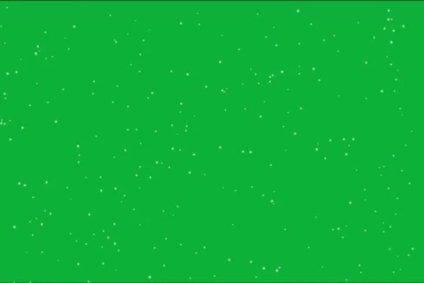 Shutterstock Video
