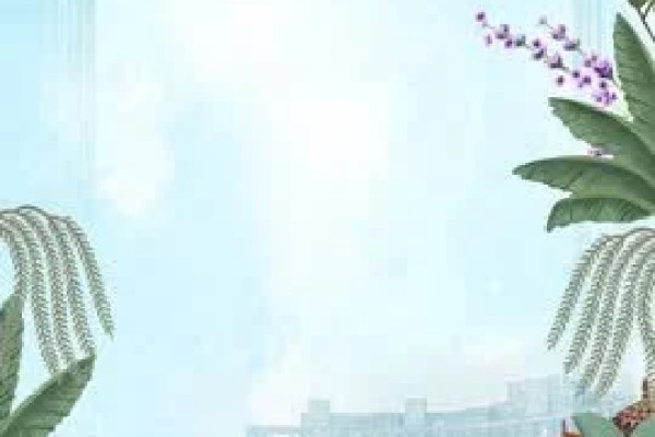 Shutterstock Video