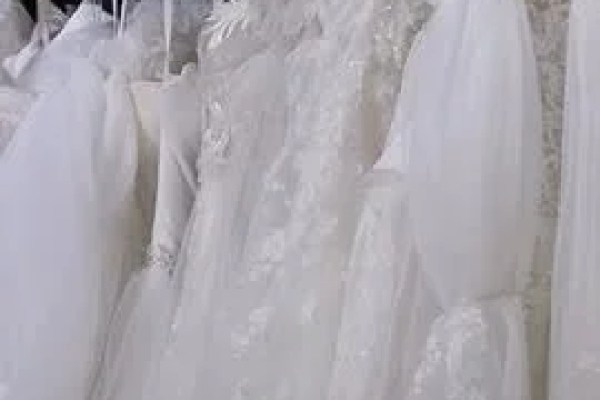 Shutterstock Video