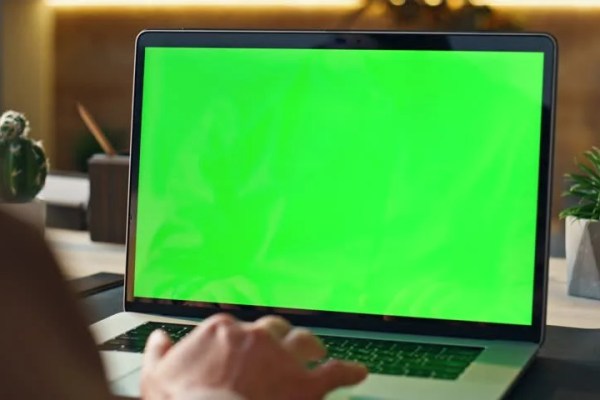 Shutterstock Video