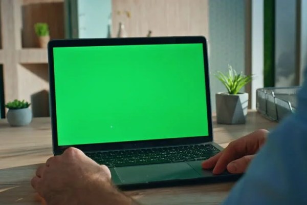 Shutterstock Video