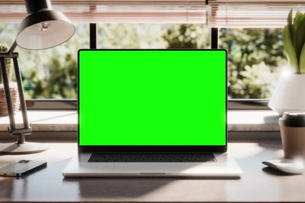Shutterstock Video