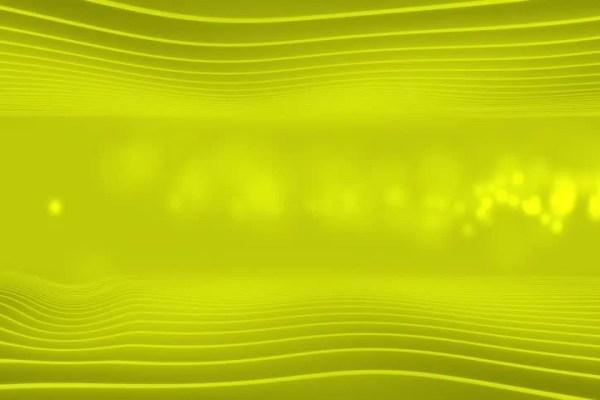Shutterstock Video