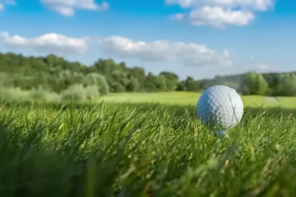 Shutterstock Video