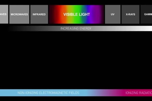 Shutterstock Video