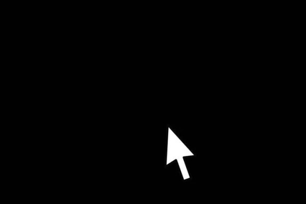 Shutterstock Video