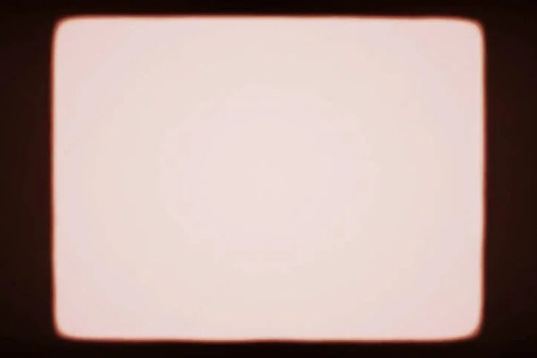 Shutterstock Video