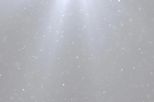 Shutterstock Video