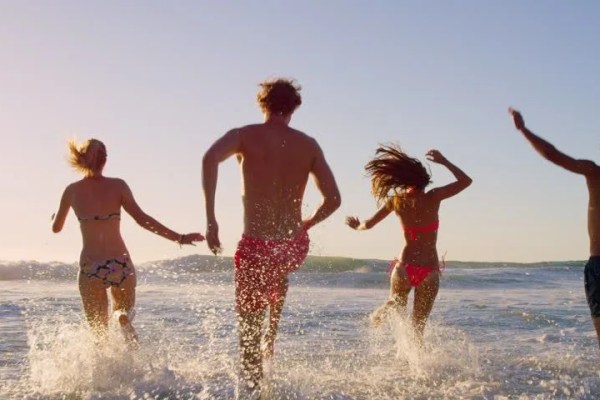 Shutterstock Video
