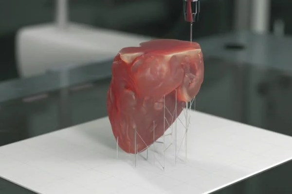 Shutterstock Video