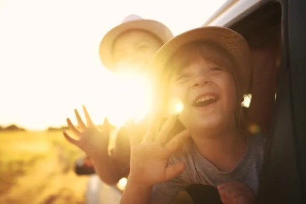 Shutterstock Video