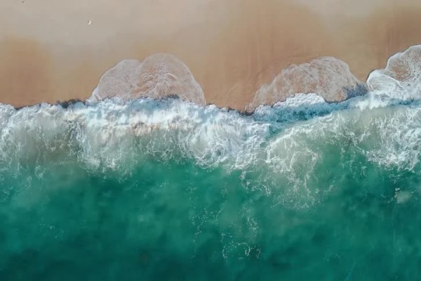 Shutterstock Video