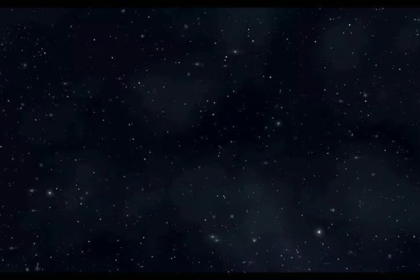 Shutterstock Video