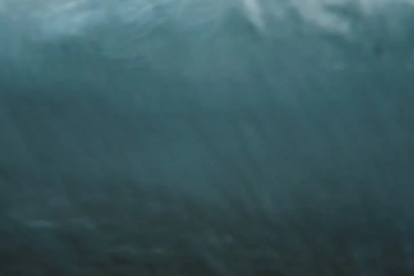 Shutterstock Video