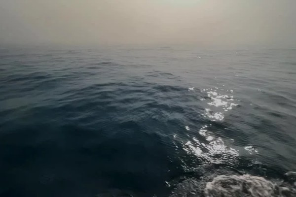 Shutterstock Video