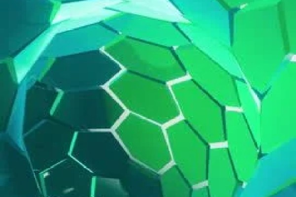 Shutterstock Video