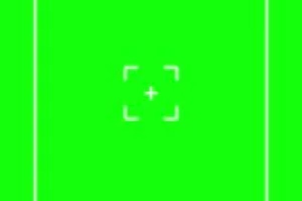 Shutterstock Video
