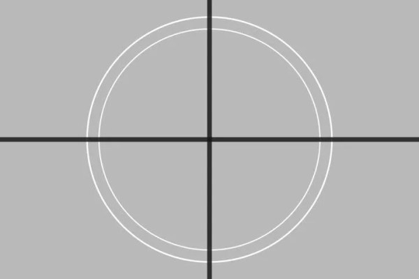 Shutterstock Video