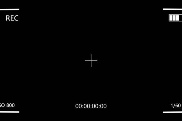 Shutterstock Video