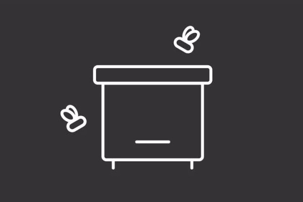 Shutterstock Video