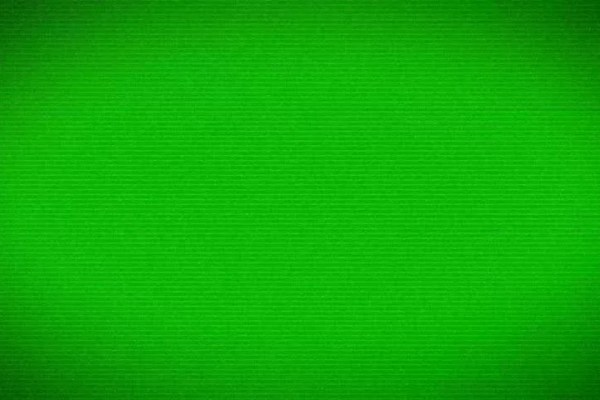 Shutterstock Video