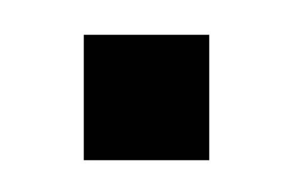 Shutterstock Video