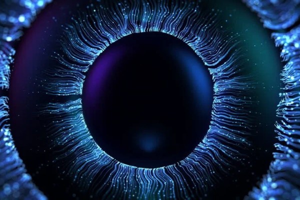 Shutterstock Video