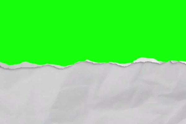 Shutterstock Video