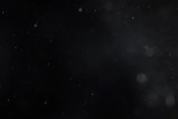 Shutterstock Video