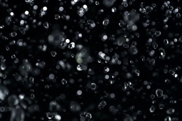 Shutterstock Video