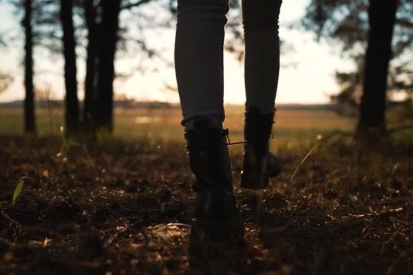 Shutterstock Video