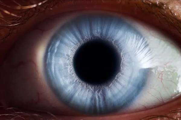 Shutterstock Video