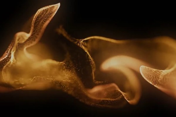 Shutterstock Video