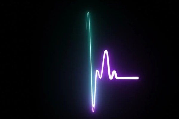 Shutterstock Video