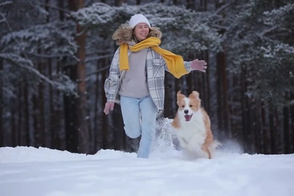 Shutterstock Video