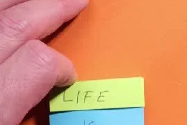 Shutterstock Video