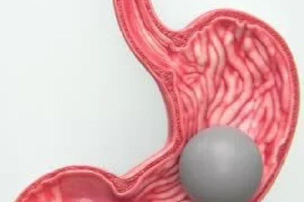 Shutterstock Video