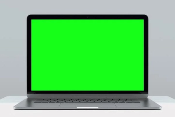 Shutterstock Video