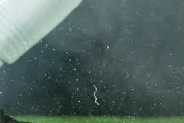 Shutterstock Video